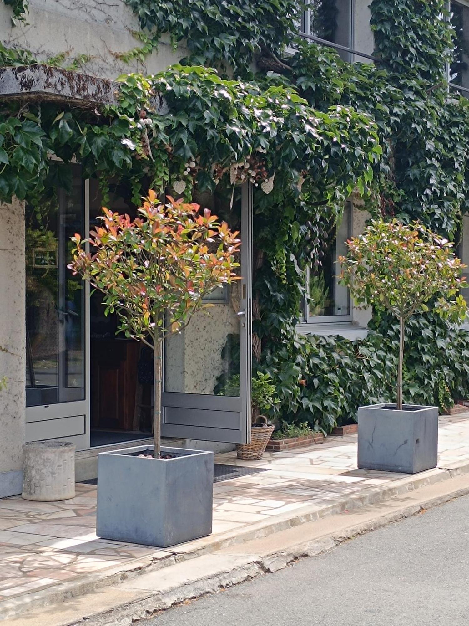Chambres D'Hotes Du Port Gautier Vouvray-sur-Loir Exterior photo